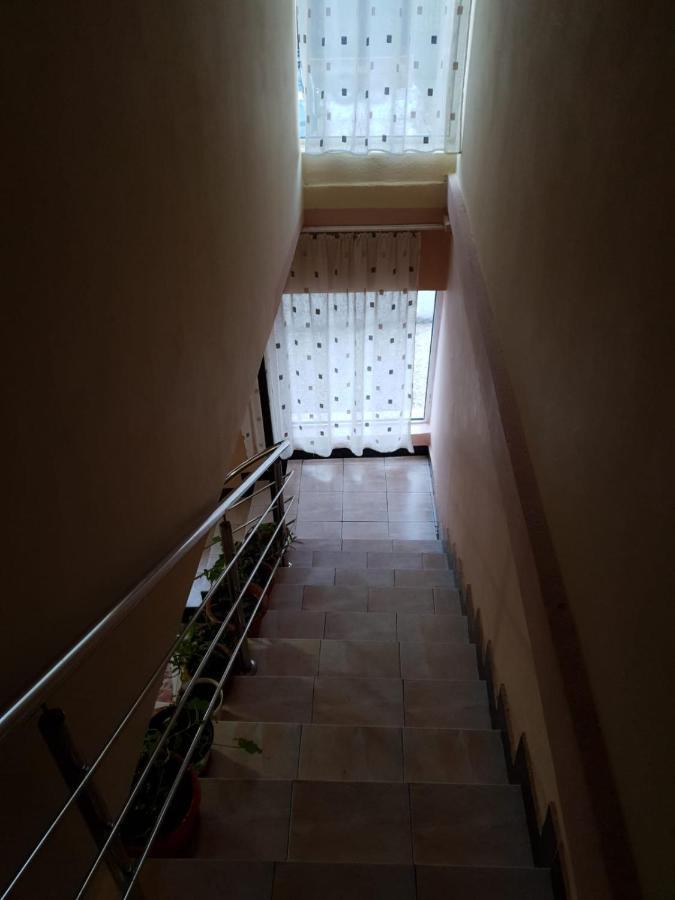 Pensiunea Lucica Sacelu Exterior foto