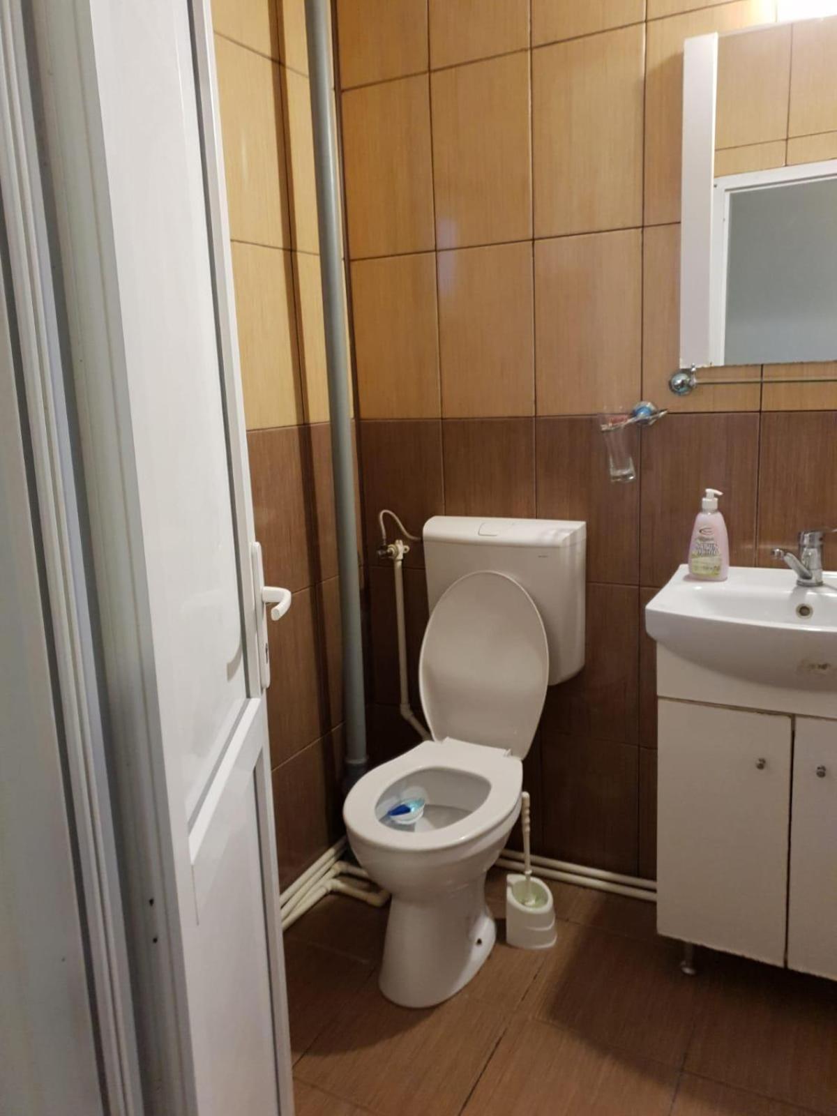 Pensiunea Lucica Sacelu Habitación foto